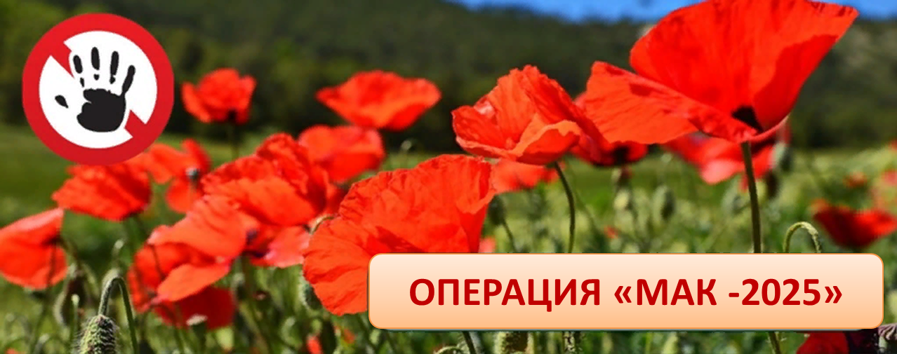 Операция &amp;quot;Мак - 2025&amp;quot;.